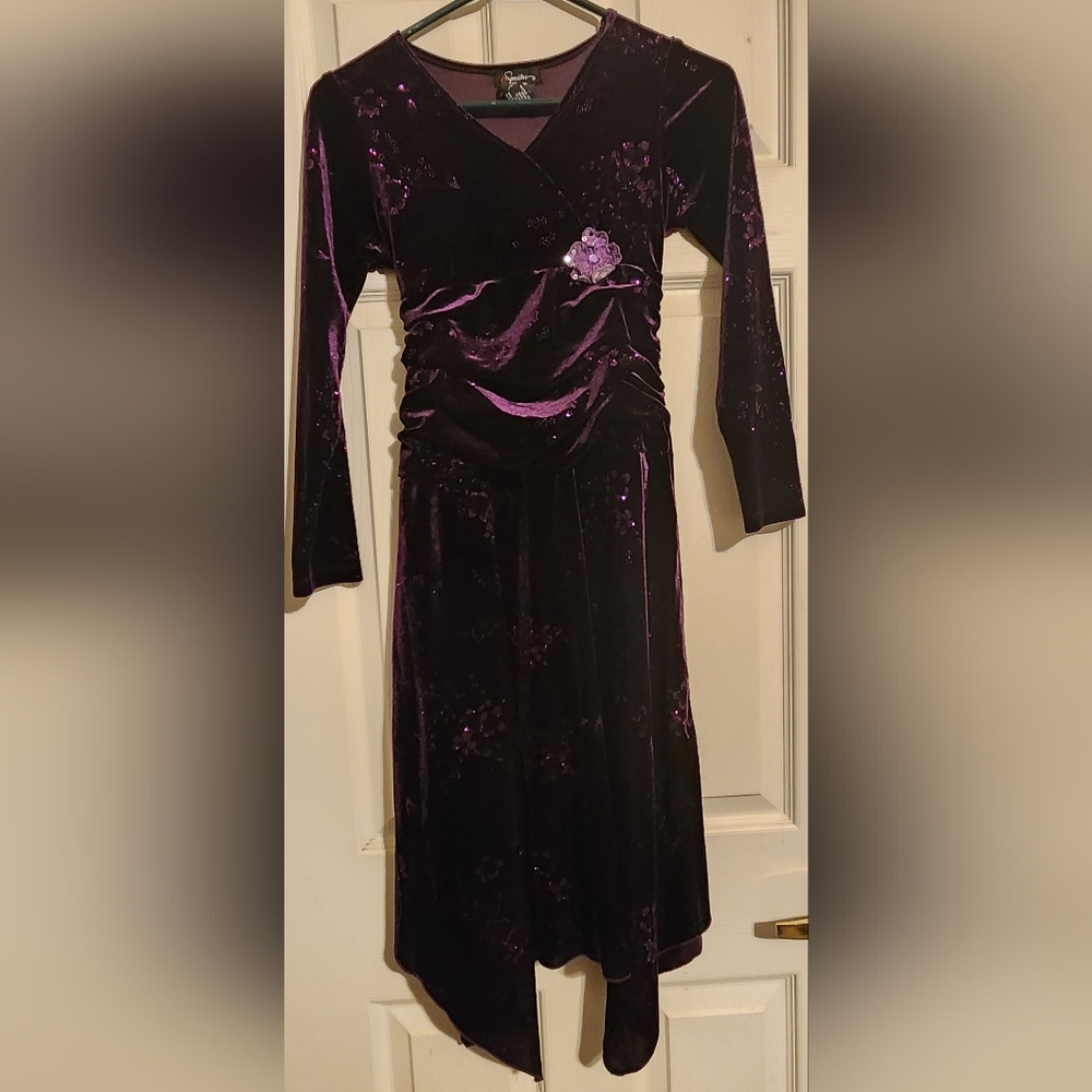 Big girl's size 12 purple dress